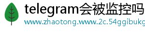 telegram会被监控吗